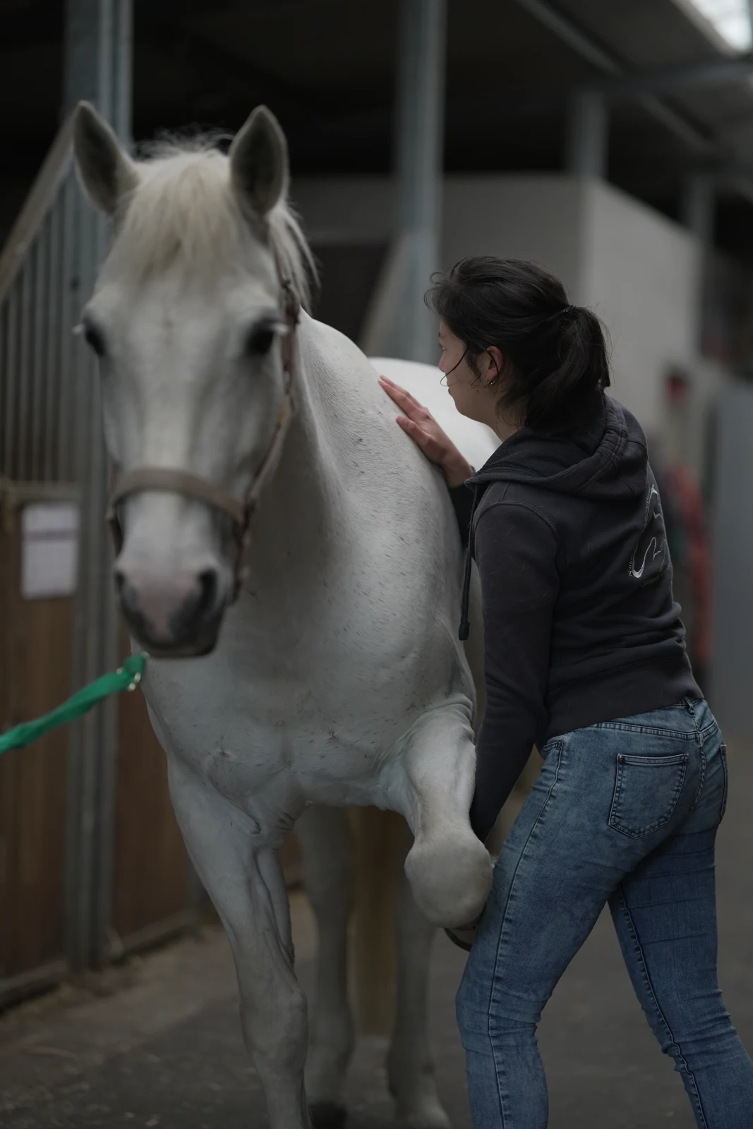 Bien-être du cheval grâce à l'ostéopathie animale