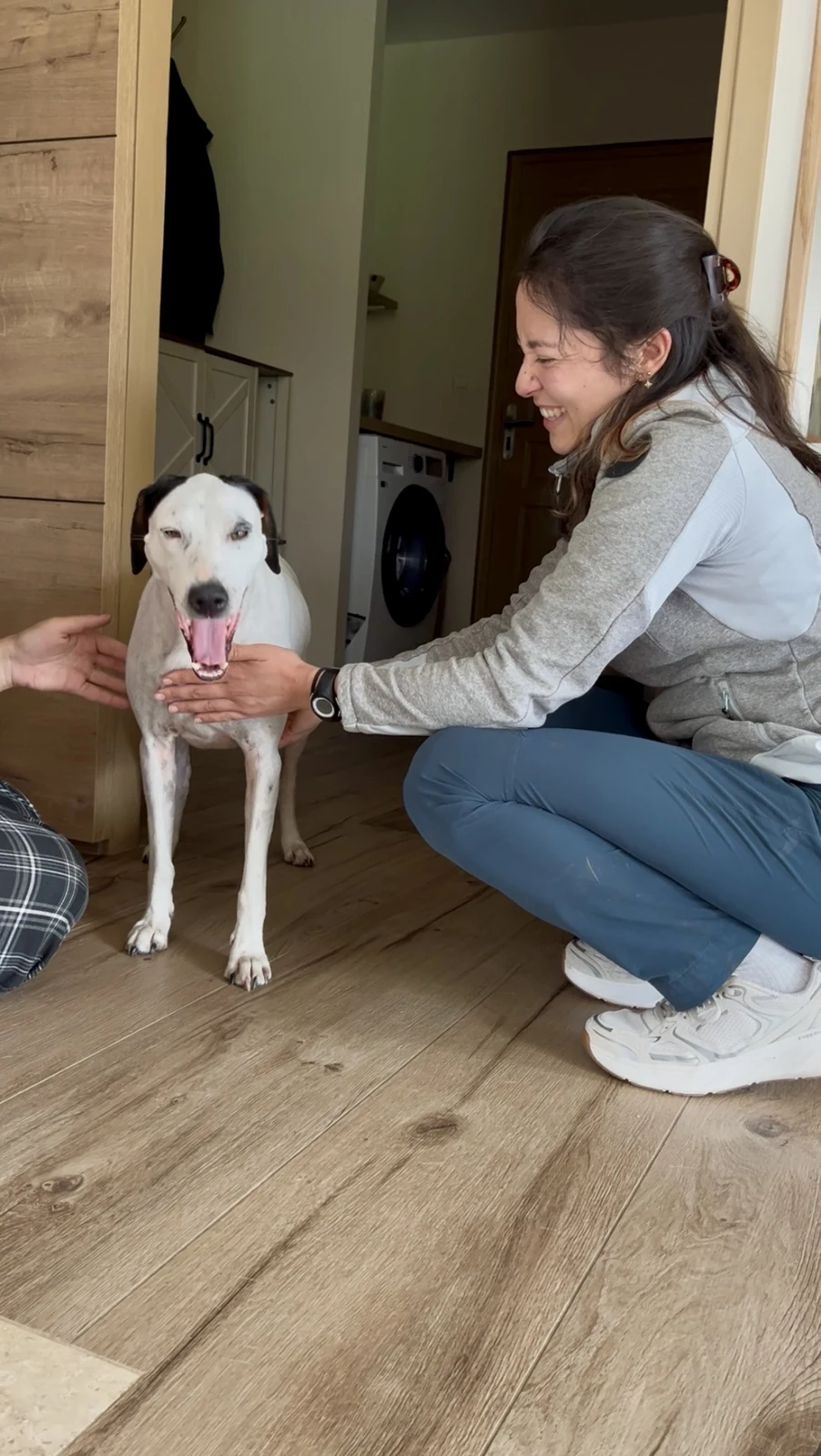 Consultation d'ostéopathie canine à Bourg-Achard
