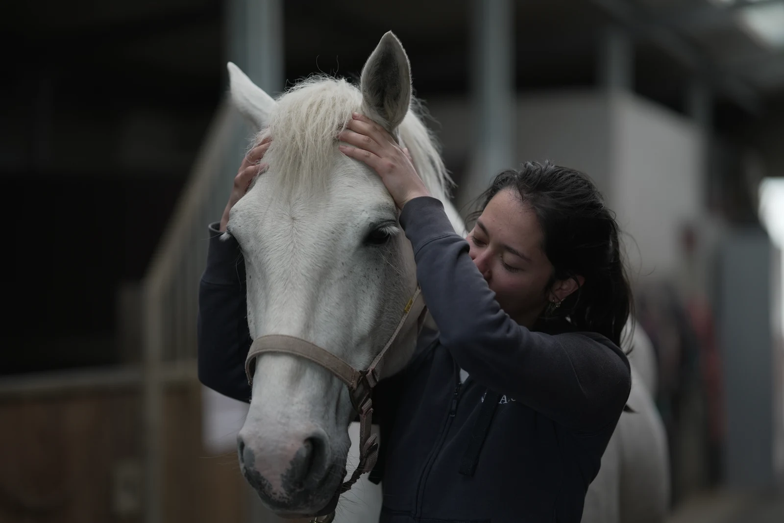 Ostéopathie équine pour cheval en Normandie