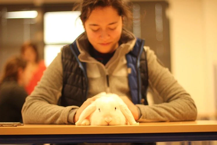 Yuko Thibaut et sa passion pour les animaux